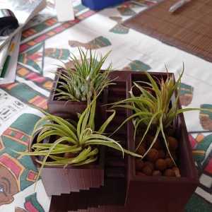 santorini_planter