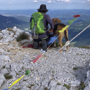 dogpic321