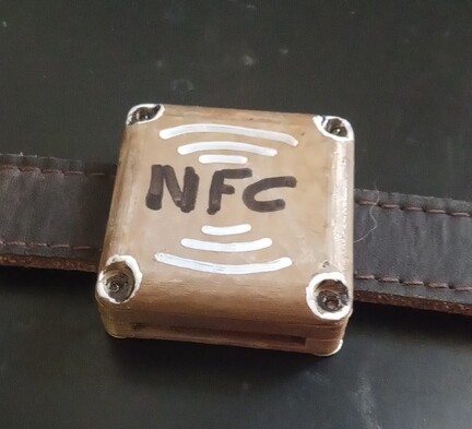 Pet NFC tag.jpg